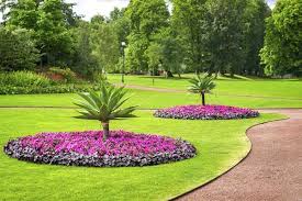 Maybe you would like to learn more about one of these? 22 Beautiful Flower Beds Around Trees Landscaping Around Trees Small Palm Trees Backyard Landscaping Designs