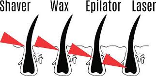 Hair needs to be at least ¼ to ½ for effective waxing. 23 Things You Should Know About Pubic Hair