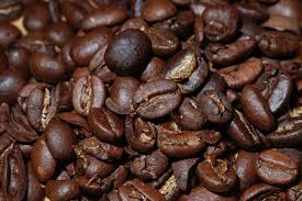 Image result for Coffea sp. A