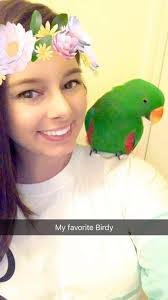 Colorful eclectus parrot at pineapple paradise