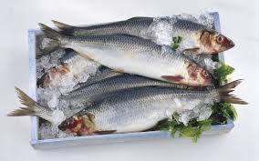 Top 8 Fish For Omega 3 Fatty Acids Fish Nutrition Facts Fatty Fish Fatty Acids
