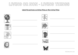 living or non living things english esl worksheets for distance learning and physical classrooms