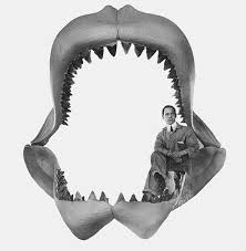 Megalodons were giant sharks that lived millions of years ago. Megalodon Shark Facts Size Extinction Sightings And Other Faq Owlcation Education