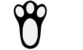 This belief is held by individuals in a great number of places around the world, including europe, china, africa. 5 615 Best Rabbits Foot Images Stock Photos Vectors Adobe Stock