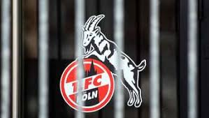 #jonas hector #1 fc köln #football trash #we stan. 1 Fc Koln Themenseite