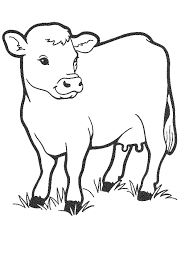 Welcome to farm animal coloring pages! Pictures Of Cows To Color Coloring Library