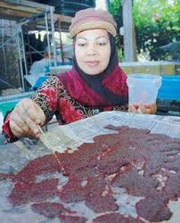 Punca punca fry ikan laga terbantut dan langkah mengatasi jom dengar penjelasan dari apeks betta. Ikan Laga Dan Cara Penjagaan Zikri Husaini