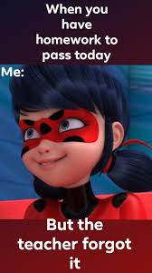 Miraculous Memes Miraculous Ladybug Movie Miraculous Ladybug Funny Miraculous Ladybug Comic