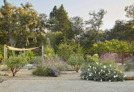 Client relationships + design excellence. The Four Season Garden An Enchanting Indoor Outdoor Landscape In Sonoma County By Terremoto Gardenista