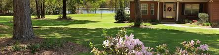 Wherever you are in northeast florida, trad's has your back when it comes to pest control and lawn service. Mccall Service Florida Pest Control For Homes Businesses