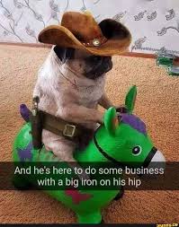 Ip S Here To Do Some Business With A Big Iron On His H And He Ifunny Funny Animal Pictures Funny Dog Captions Wild Animals Pictures