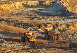 Image result for Empogona cacondensis