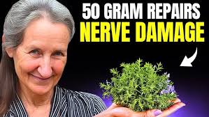 THEY HID THIS: 7 Herbs That REVERSE Nerve Damage!