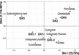 Image result for Cyperus pseudoleptocladus