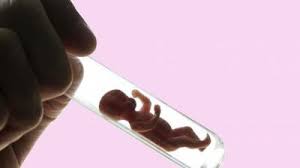 Creating Perfect Babies