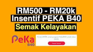 Beban penyakit tidak berjangkit 47.6 syarat kelayakan. Rm500 Rm20k Insentif Peka B40 Semak Kelayakan Anda Youtube