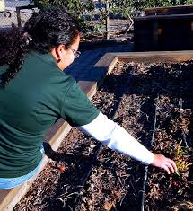 Together we will work with nature and spirit to discover and grow what we love.this video contains. Nmsu Extension Producing Twice Monthly Gardening Webinar Series Beginning Sept 2 Las Cruces Bulletin