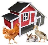 Egg Hut Wooden Chicken Coop (up to 3 chickens) | Mann Lake Ltd.