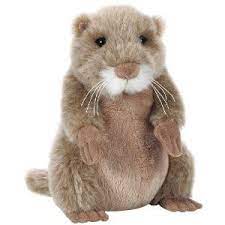 Got To Have This Webkinz Prairie Dog Toy Http Www Amazon Com Dp B004k4q9so Tag Whit09b 20 B004k4q9so Webkinz Webkinz Stuffed Animals Prairie Dog