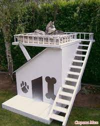 osobnyak dlya sobaki cool dog houses dog house modern dog houses