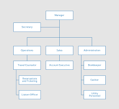 Ejemplos y Plantillas de Organigramas | Lucidchart