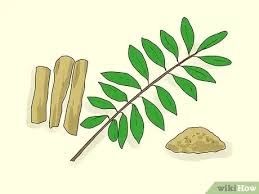 This doesn't necessarily grow your penis; Can You Increase Your Penis Size With Herbs Fact Vs Fiction