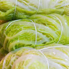 Gli involtini di verza sono un secondo piatto molto gustoso: Come Preparare Gli Involtini Di Verza Capunet Piemontesi
