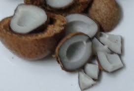 Buah zuriat,air,madu untuk program hamil diminum minimal sekali sehari. Buah Zuriat Manfaat Co Id