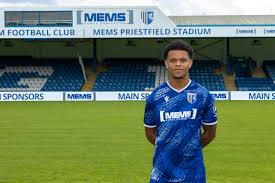 Fatemegee's tantalizing doggy style scenes