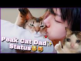 🐱 TEN LEE 🐱 and his 3L Babies