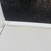 See more ideas about room screen, room divider screen, folding screen. Screen Room Drains One Only Patented Drain