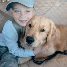 2025 tohatsu outboard maintenance schedule