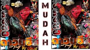 Beberapa ratus tahun yang lalu, manusia hampir dibasmi oleh raksasa. Campuran Pakan Untuk Pembentukan Otot Ayam Aduan Dengan Cepat Kyojin Albuz Part 1 Youtube