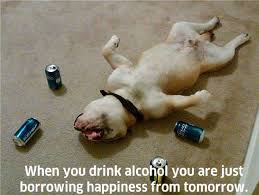 When You Drink Alcohol You Are Just Borrowing Happiness From Tomorrow Quote Challenges Funny Try Not To Laugh Animals
