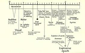 The Development Of Speech By Maria Montessori In The