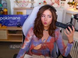 Pokimane Boob Nipple Slip Accidental Twitch Video - gotanynudes.com
