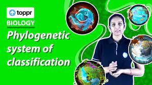 Phylogenetic System Of Classification Classification And Nomenclature Class 11 Biology Youtube