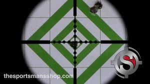 3 Shot Rifle Sight In 25 Yards