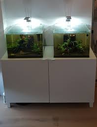 Pin Auf Terrarium