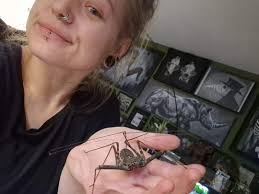 Except I have NEVER cared for wormtail🤢🤮🚫