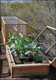 Best sellers | gardens alive! No Critters In This Raised Bed Garden Plus Frost Cloth Or Row Cover Can Be Draped Over Diy Raised Garden Raised Garden Plants