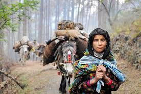 نتیجه جستجوی لغت [nomadic] در گوگل