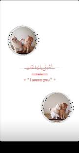 قناتي تليكرام almasa099 in 2021 instagram picture quotes baby girl pictures application iphone