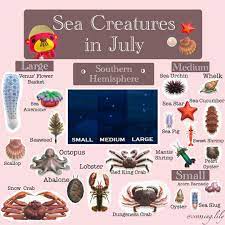 New horizons has unleashed its latest update, bringing a whole load of underwater fun to proceedings, as well as introducing sea how do you swim in animal crossing? Daily Animal Crossing Cuteness On Instagram South Hemi All Sea Creatures Available By Swimming I Animal Crossing Animal Crossing Game Animal Crossing Guide