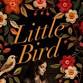 Join OLLI at BCC and Barbara Viniar for an author event image