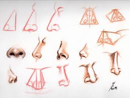Nose References By Mutsumipat On Deviantart Artistic reference for depicting typical racial physical characteristics; nose references by mutsumipat on deviantart