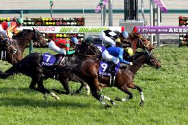 Search the world's information, including webpages, images, videos and more. ç¬¬49å›ž é«˜æ¾å®®è¨˜å¿µ éŽåŽ»10å¹´ã®å‚¾å' ãƒ‡ãƒ¼ã‚¿ G ç‰¹é›† ç«¶é¦¬äºˆæƒ³ ç«¶é¦¬æƒ…å ±ãªã‚‰jra Van