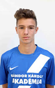 This page contains a statistic about the player's national team career. Mtk Budapest Ferencvarosi Tc U17 6 0 3 0