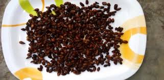 Image result for Treculia