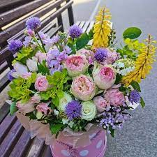 Ботаника, магазин цветов, ул. Победы, 35, Советск — Яндекс Карты